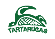 Turismo d'avventura delle tartarughe