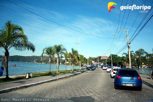 Avenida das Rendeiras - Lagoa da Conceição