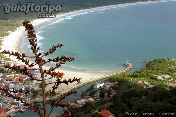 Canale, molo e spiaggia di Praia da Barra da Lagoa