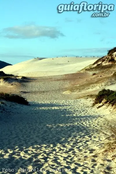 Joaquina Dunes