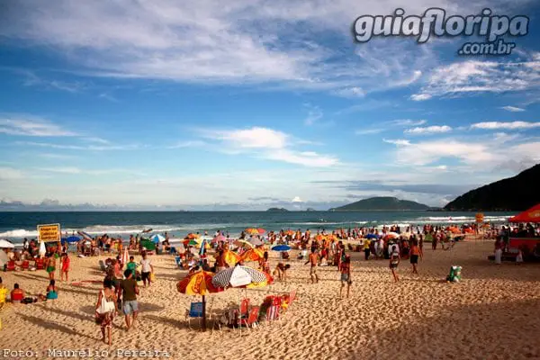 Praia Brava - Florianópolis