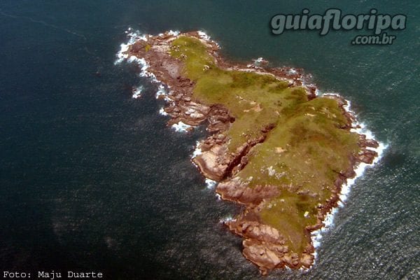 Ilha Aranha Pequena