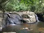 Cachoeira da Gurita - Parque Municipal da Lagoa do Peri - Passeio de Stand Up Paddle e Caiaque