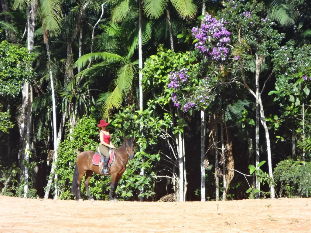 Passeios a cavalo- Ecoturismo Florianopolis