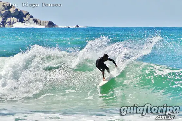 Surf em Florianópolis