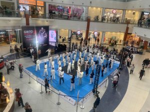 Artes Marciais: maior festival da América Latina, no Floripa Shopping