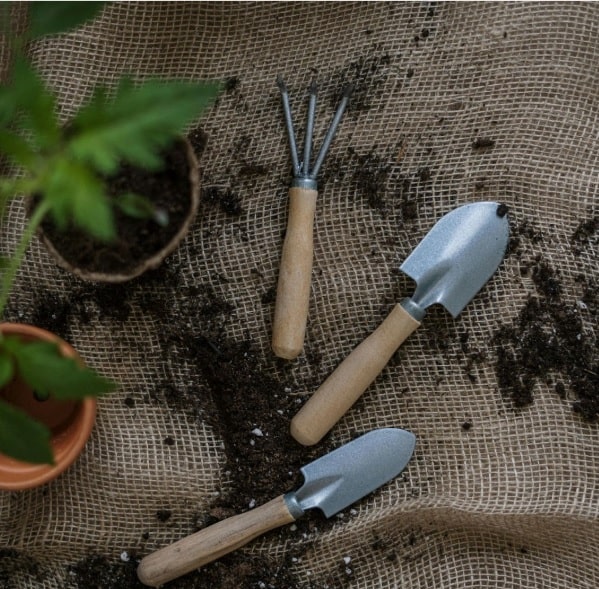 Roçadeira para Jardim