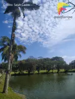 Parque Jardim Botânico de Florianópolis