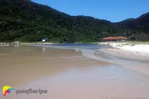 Praia Brava Canto Sul