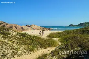 Pequena trilha de acesso à Praia da Galheta partindo da Praia Mole
