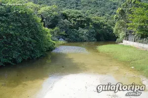 Rio Pacas - Praia da Solidão