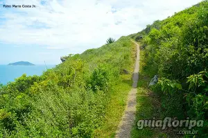 Weg zum Strand von Saquinho